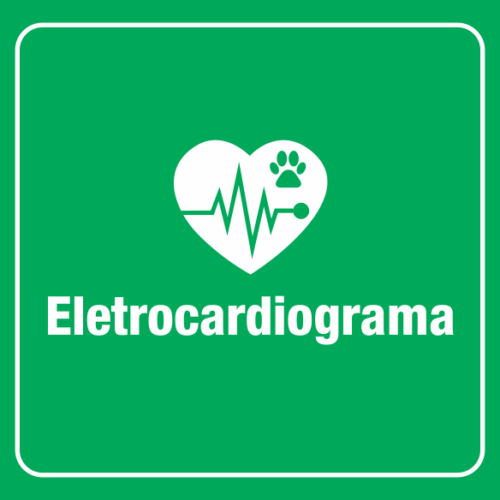 Eletrocardiograma